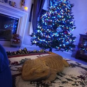 Meet your Posher, Noah